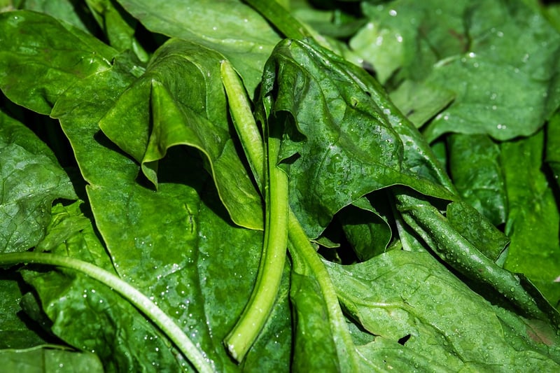 Spinach Salad